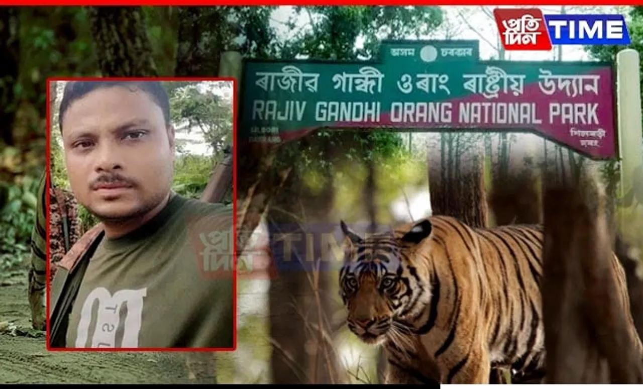 Tiger Kills Forest Guard in Orang National Park, Mutilated Body Found